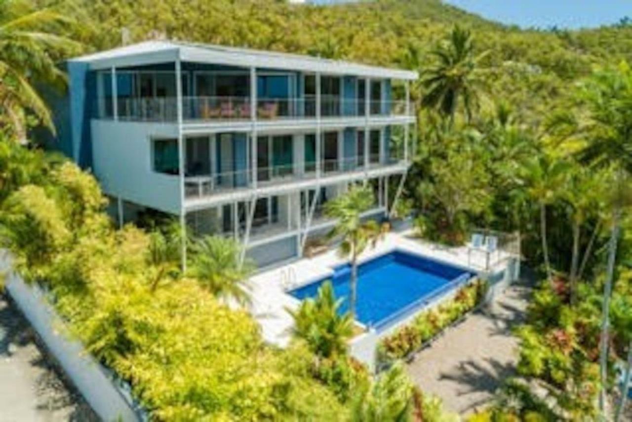 Baybliss Apartments Studio 1 Shute Harbour Dış mekan fotoğraf